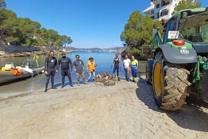 Image Calvià coastline clean-up action