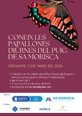 Imagen Mariposas diurnas del Puig de sa Morisca